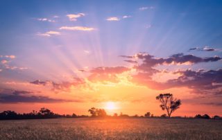 Sunset Beauty