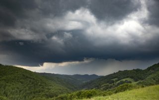 Storm clouds above meadow