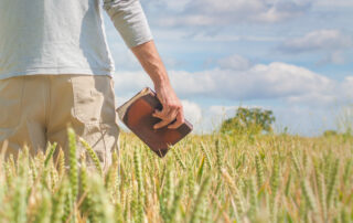 Yielding a Fruitful Crop