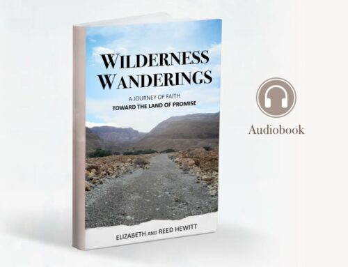 Wilderness Wanderings Audiobook